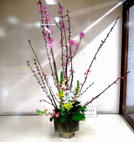 ＜生け花＞（２３３）【嵯峨御流...