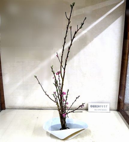 ＜生け花＞（２３５）【嵯峨御流...
