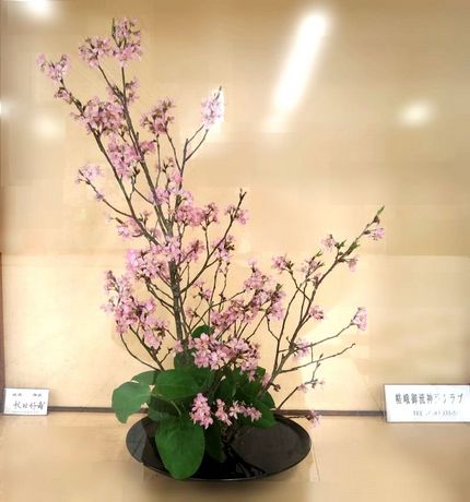 ＜生け花＞（２３８）【嵯峨御流...