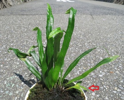 ＜　２０１５年４月３０日　＞