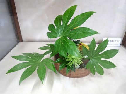 ＜生け花＞（２８９）【嵯峨御流...