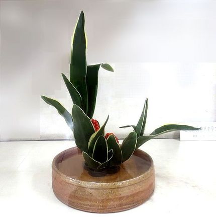 ＜生け花＞（３４０）【嵯峨御流...