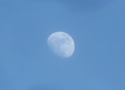 正午月齢＜１０．１＞＠神戸市（...