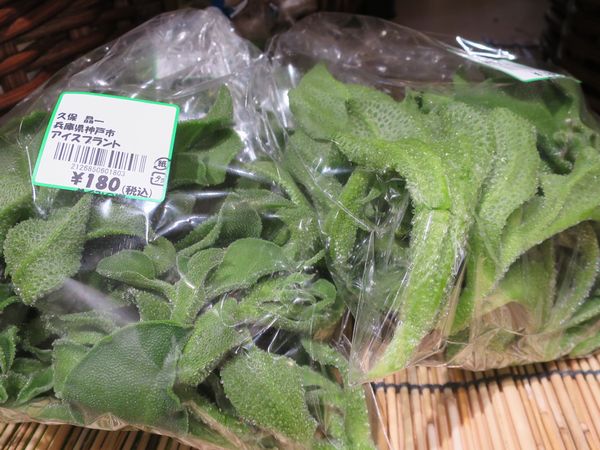 ＜野菜＞（１２）【アイスプラン...