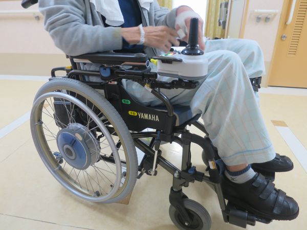 ファルコン入院記（１０）気にな...