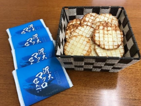 ＜　（画像：近畿大学）　＞