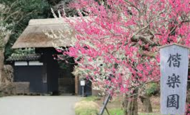 水戸の「偕楽園」有料化＠茨城県