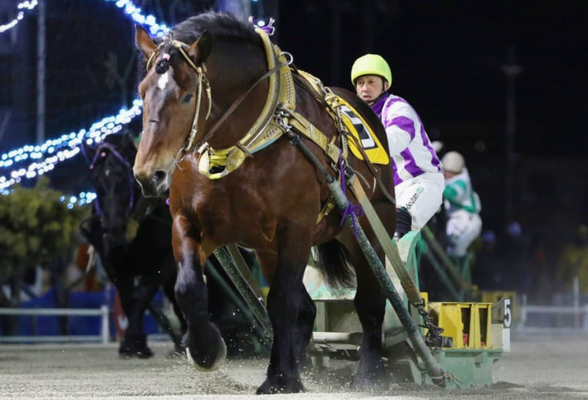 「ホクショウマサル」２０連勝＠...