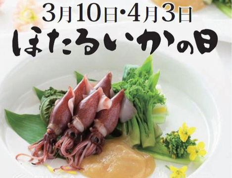 本日は「ほたるいかの日」