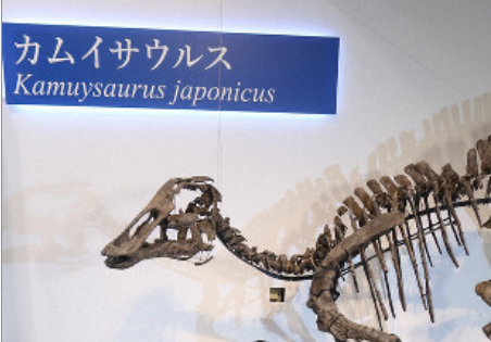 「カムイサウルス・ジャポニクス...