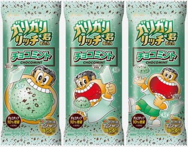 「ガリガリ君リッチチョコミント...