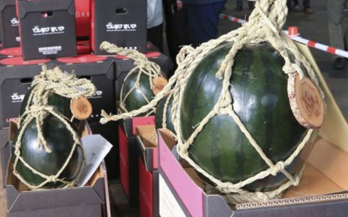 初競りで１玉２２万円の最高額が...