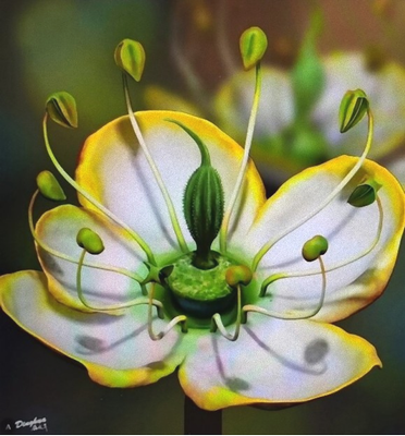 １５００万年前の花を琥珀の中か...
