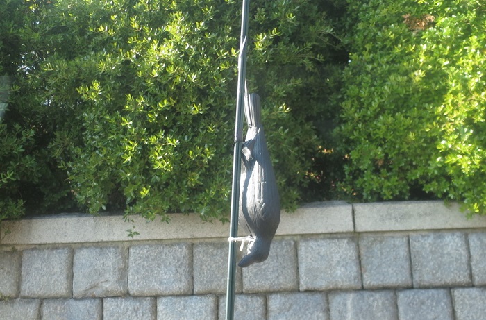 「カラス」のカラス除け？！＠某...