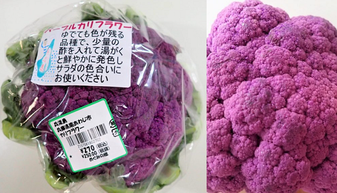 ＜野菜＞（２０）パープルカリフ...