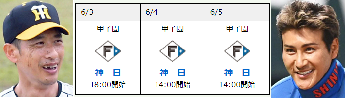 「日本ハム」セ・パ交流戦＠＜阪...