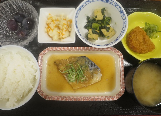 デイケアのお昼ご飯（７４１）