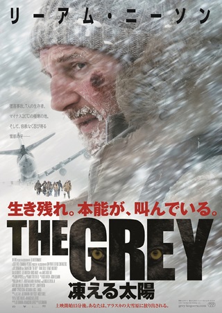 『THE GREY 凍える太陽...