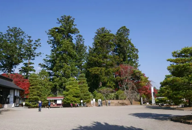 「CMEグループ ツアー選手権...