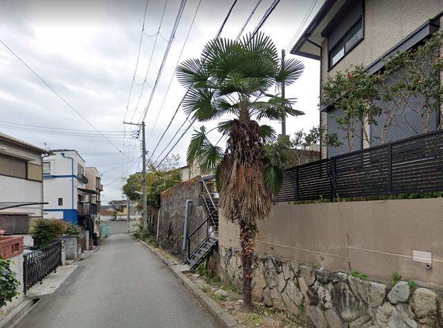 ファルコン植物記（２１３７）ど...