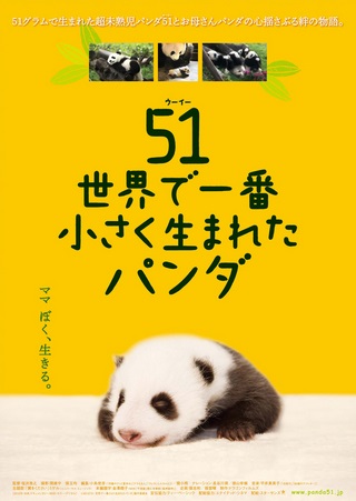 『５１（ウーイー）世界で一番小...