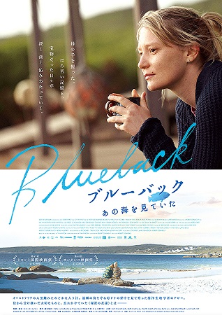『ブルーバック　あの海を見てい...