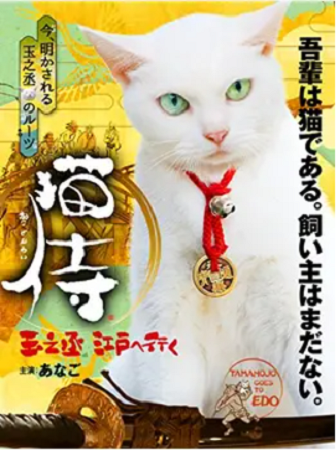 『猫侍　玉之丞　江戸へ行く』＠...