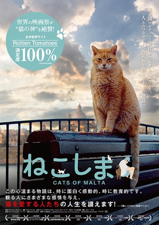 『ねこしま』＠＜サラ・ジェイン...