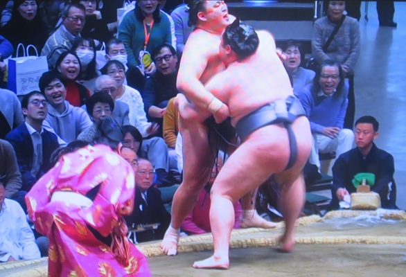 ●＜玉鷲＞「寄り切り」○＜金峰...