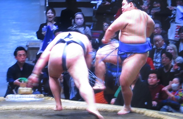 ○＜金峰山＞「突き倒し」●＜大...