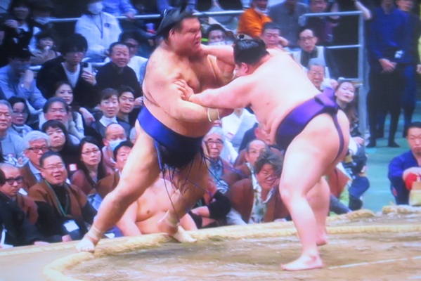 ●＜高安＞「寄り切り」○＜美ノ...