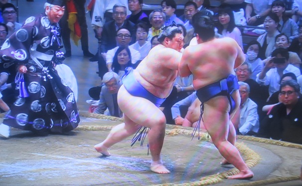 ○＜大の里＞「押し出し」●＜平...