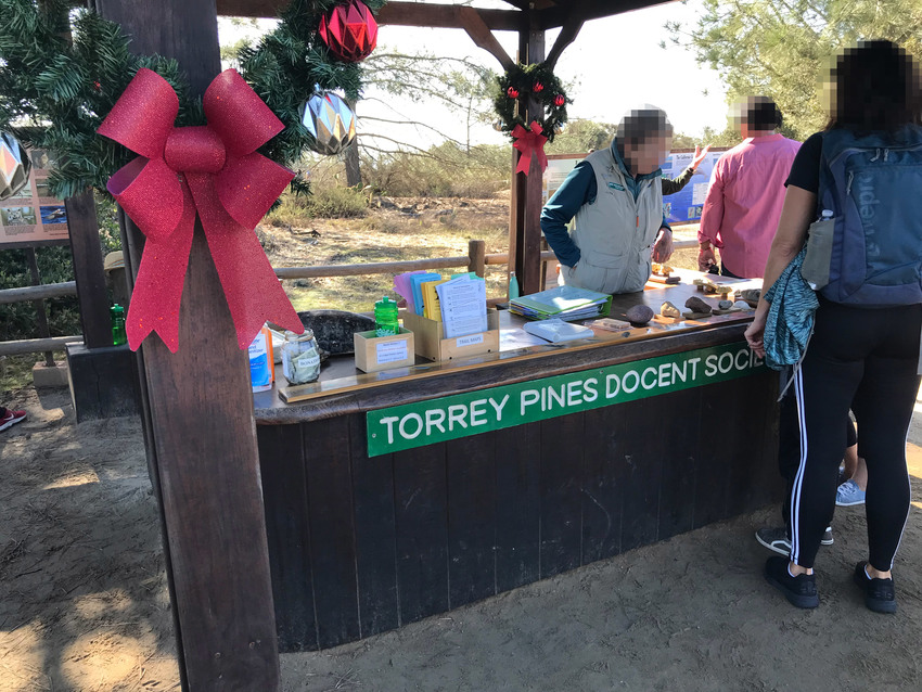 Torrey Pines Do...