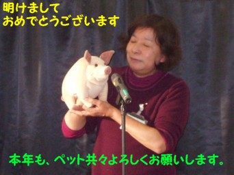 粋なお姉さま