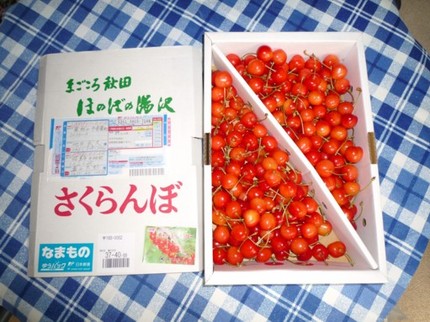サクランボ
