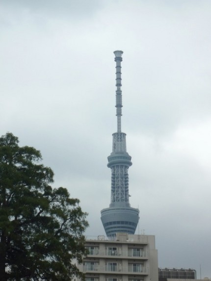 屋上のスカイツリー