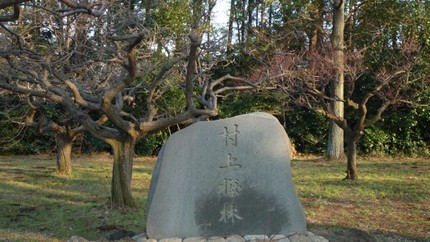 村上梅林