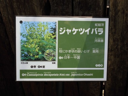 物知らず