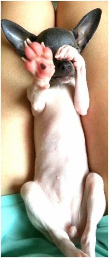 やめて、やめて