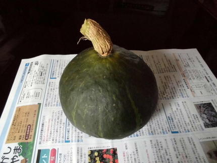本日収穫