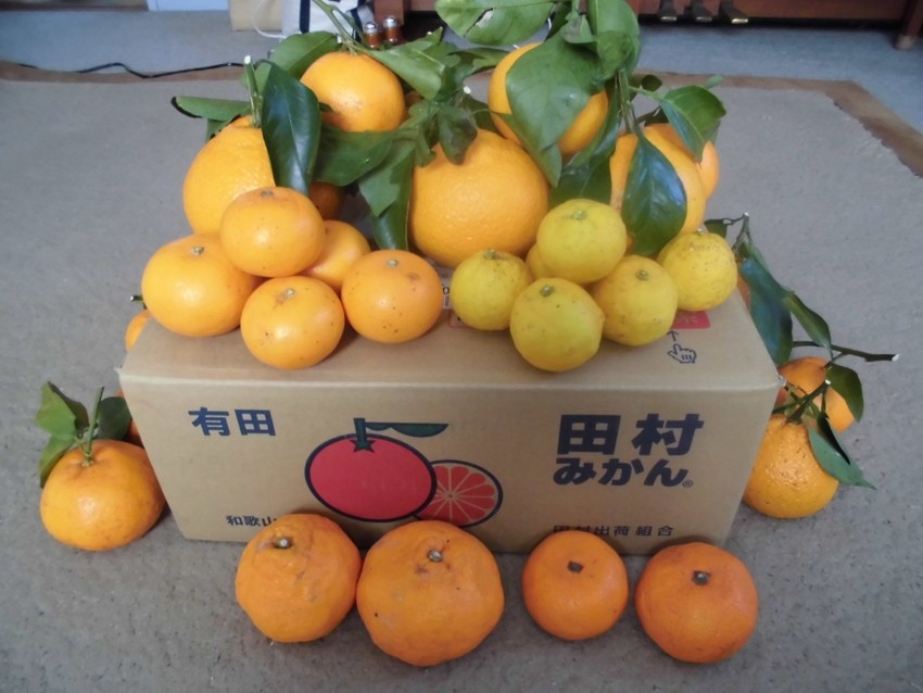 贈り物