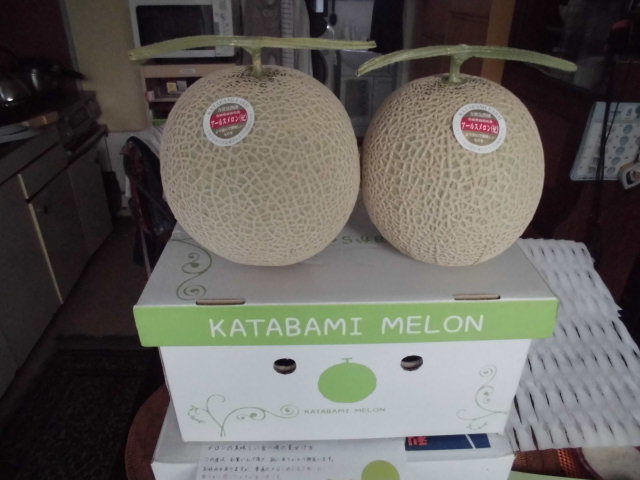 KATABAMI MELON