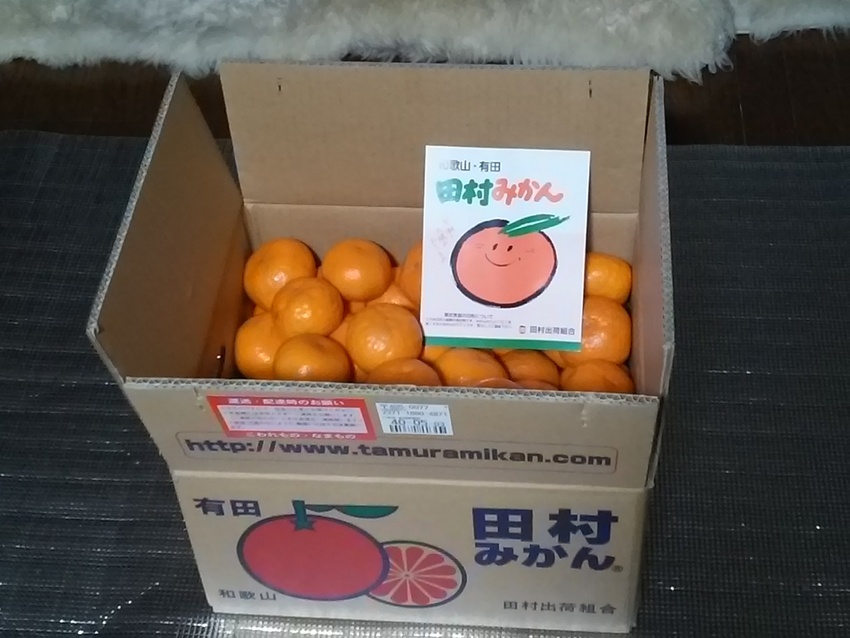 念願のみかん