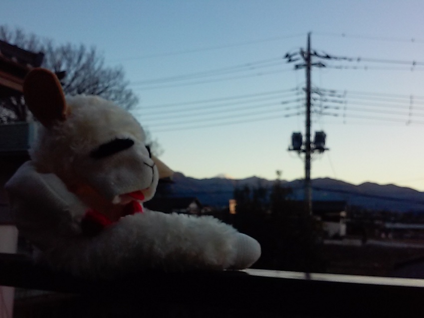 アイスじゃなかった❗
