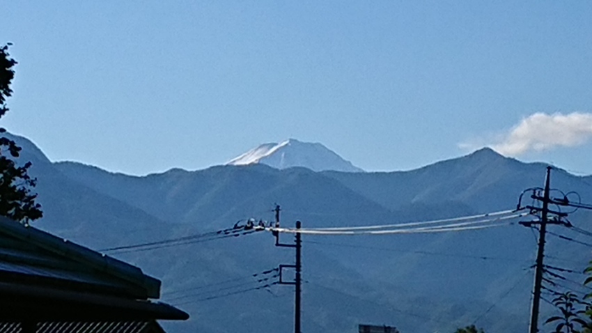 今朝のベランダ