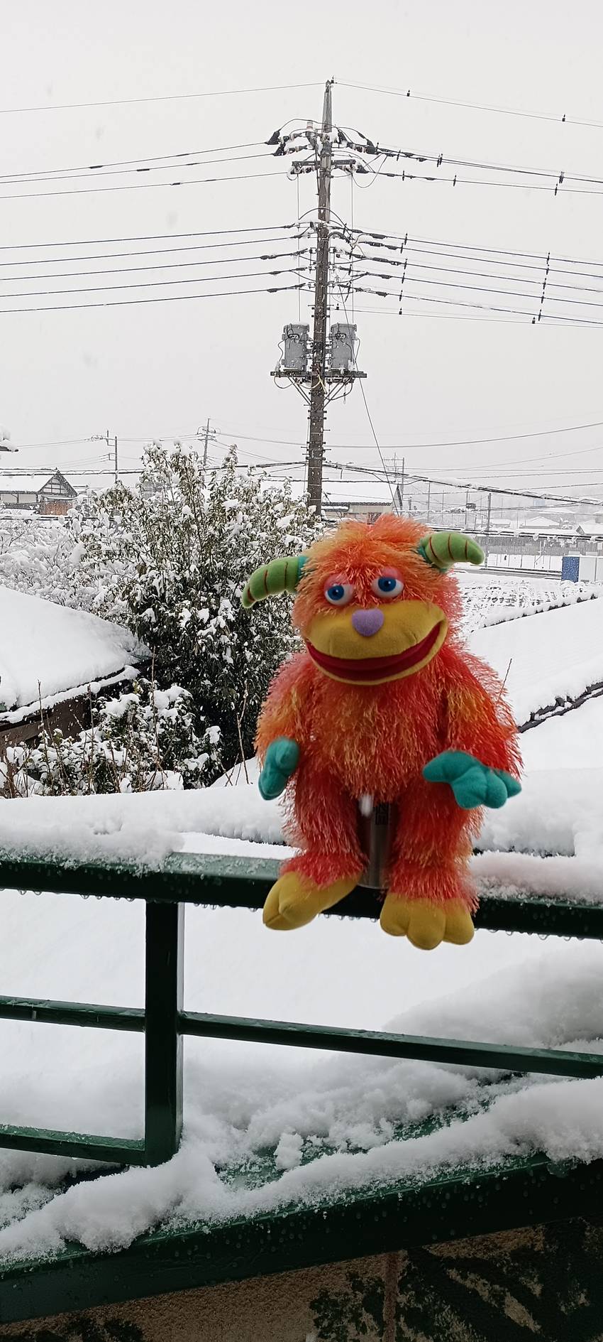 １日だけ