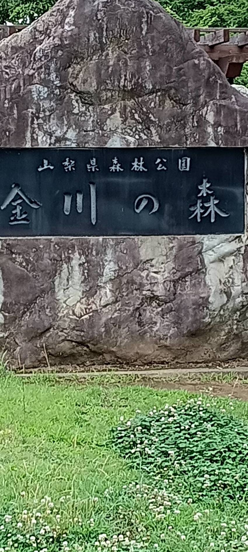 季節の外歩き