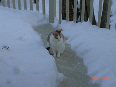 雪と花里子