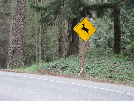 『鹿に注意』の標識