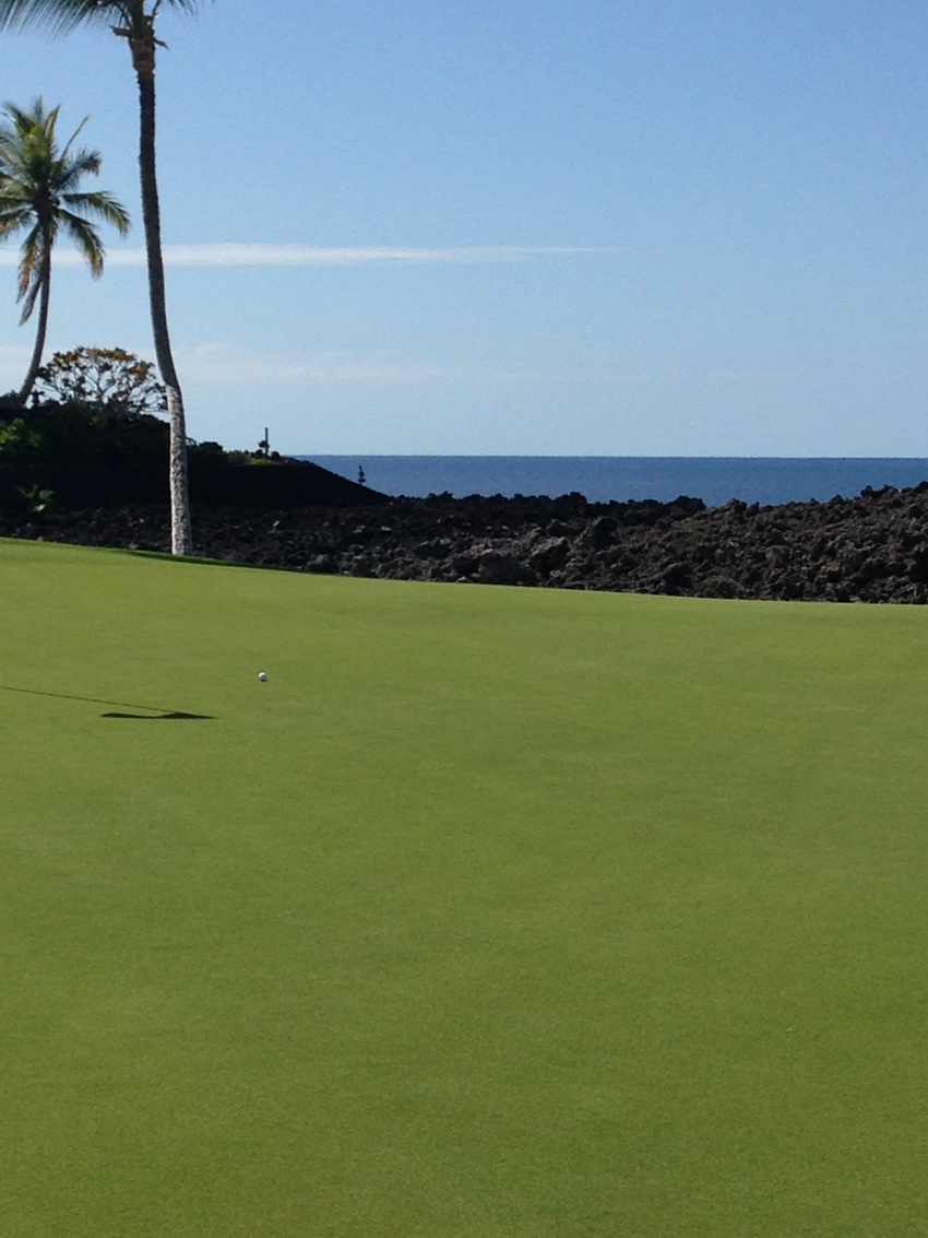 ハワイ島のゴルフ
